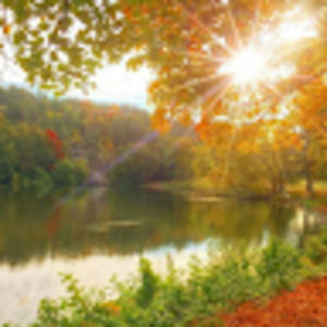 Meet your Posher, Serwa